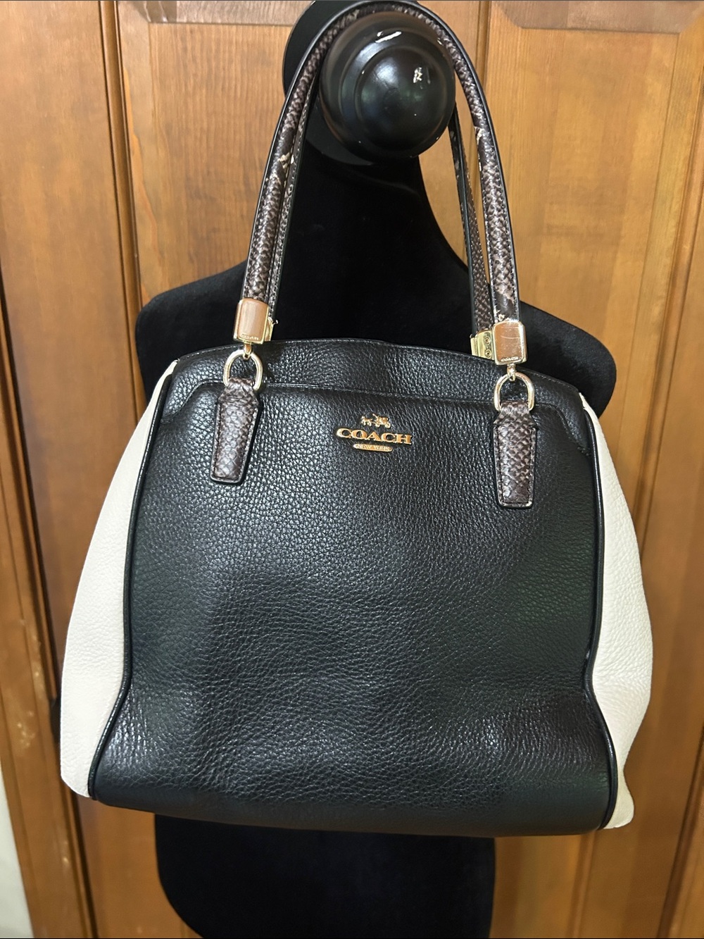 Coach Minetta Leather Snake
Trim Bag